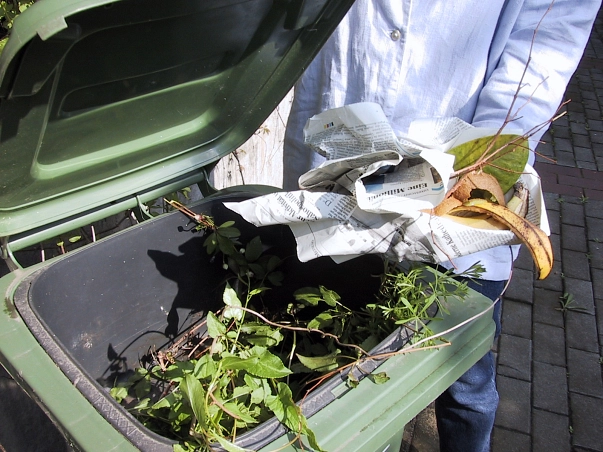 Biotonne im Sommer Biotonne mit Papier © Göttinger Entsorgungsbetriebe
