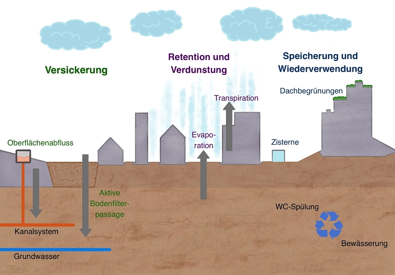 Schematische Darstellung der verschiedenen Elemente eines nachhaltigen Regenwassermanagements&nbsp;&copy;&nbsp;Göttinger Entsorgungsbetriebe